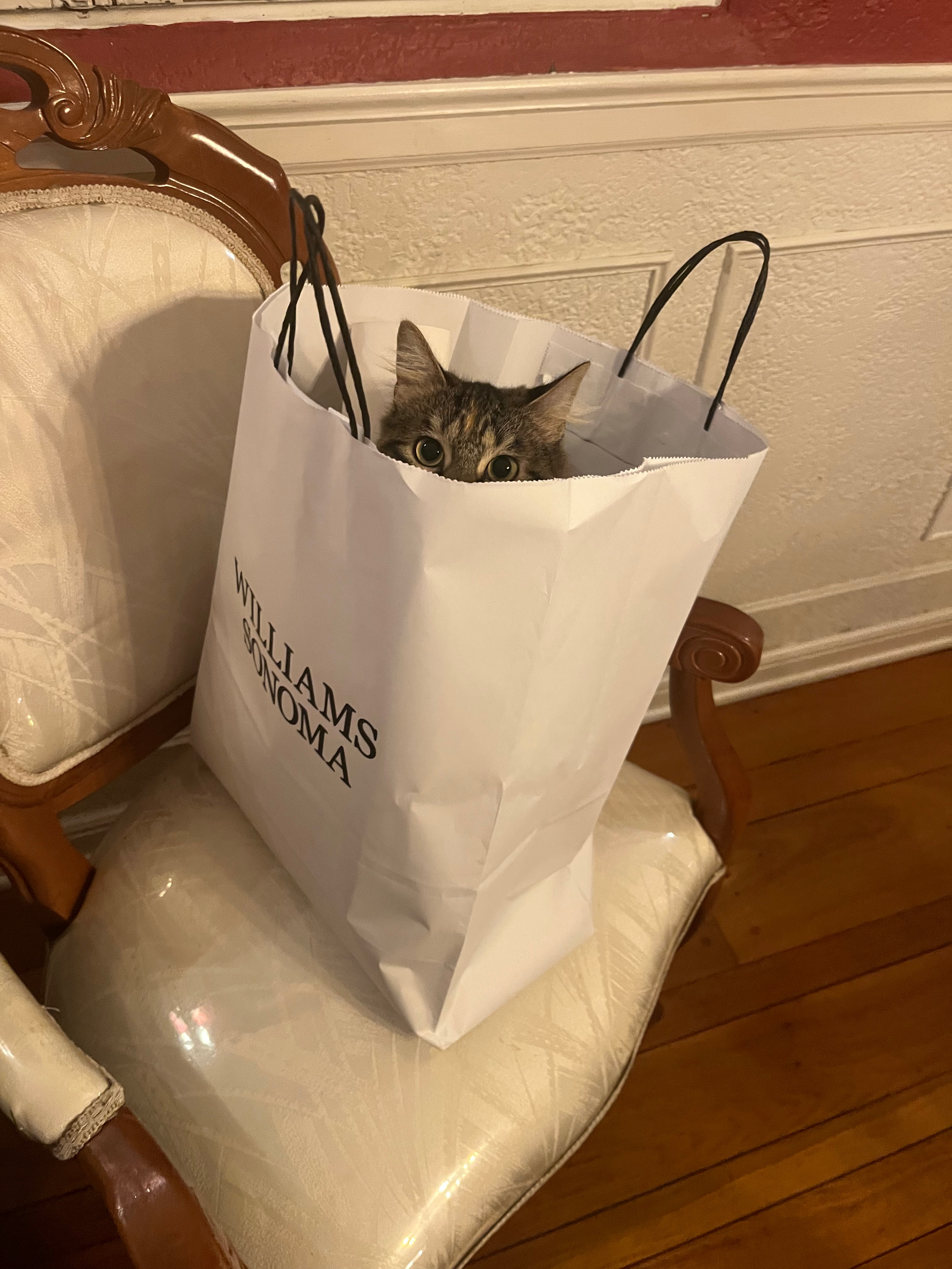 A New Year at Williams Sonoma: Timeless Finds for a Fresh Start